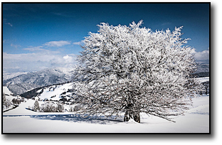 美丽的冬景：精彩例图及拍摄技巧